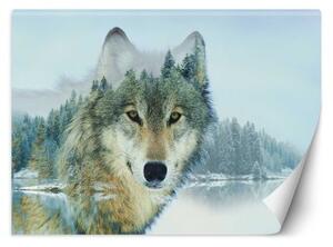 Fototapeta, Vlk na pozadí lesa - 100x70 cm