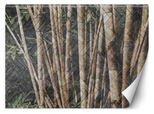 Fototapeta, Bambusový les - 300x210 cm