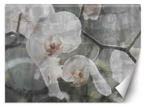 Fototapeta, Květy orchidejí - retro - 100x70 cm
