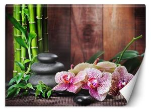 Fototapeta, Orchidej s bambusem - 100x70 cm