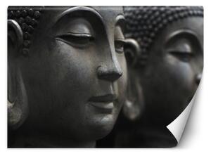 Fototapeta, Meditující Buddha - 450x315 cm