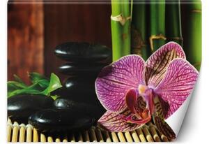 Fototapeta, Orchidej Zenové kameny a bambus - 100x70 cm