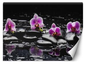 Fototapeta, Zenové kameny a orchideje - 300x210 cm