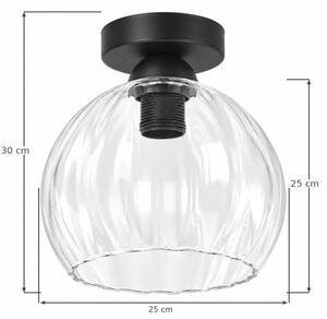 BRILAGI - LED Stropní svítidlo RETRO GLASS 1xE27/60W/230V pr. 25 cm černá/čirá