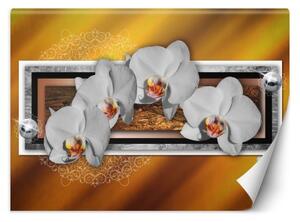 Fototapeta, Geometrie a orchideje - 100x70 cm
