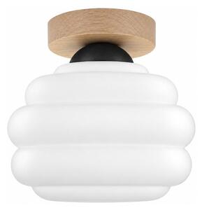 BRILAGI - LED Stropní svítidlo RETRO GLASS 1xE27/60W/230V pr. 20 cm dub/bílá