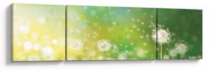 Obraz - Odkvetlé pampelišky (170x50 cm)