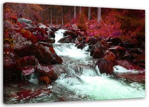 Obraz na plátně, Horský potoční les červený - 90x60 cm