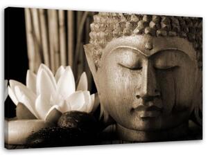 Obraz na plátně Buddha a lilie Květina Brown - 100x70 cm