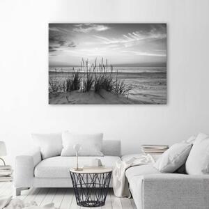 Obraz na plátně, Tráva na pláži šedá - 60x40 cm