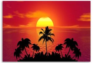Obraz na plátně, Tropické palmy při západu slunce - 60x40 cm