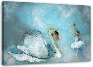 Obraz na plátně, Labutí baletka tyrkysová - 90x60 cm