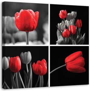 Obraz na plátně, Sada červených tulipánů - 30x30 cm
