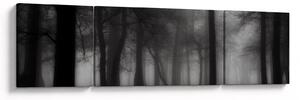 Obraz - Les v mlze (170x50 cm)