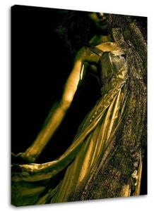 Obraz na plátně, Zlatý půvab ženy - 70x100 cm