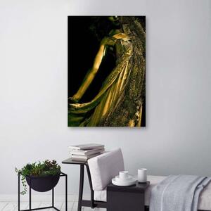 Obraz na plátně Zlatý půvab ženy - 60x90 cm