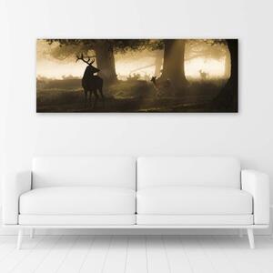Obraz na plátně Jelen v lese Fog Brown - 150x50 cm