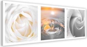 Obraz na plátně, Bílé růže Květiny panoráma - 150x50 cm