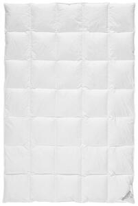 CELOROČNÍ PŘIKRÝVKA, 135/200 cm, kachní prachové peří, kachní peří Sleeptex - Přikrývky, Online Only