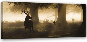 Obraz na plátně Jelen v lese Fog Brown - 90x30 cm