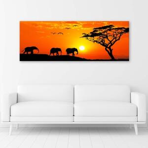 Obraz na plátně Afrika Západ slunce Sloni - 90x30 cm