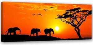 Obraz na plátně, Afrika Západ slunce Sloni - 90x30 cm