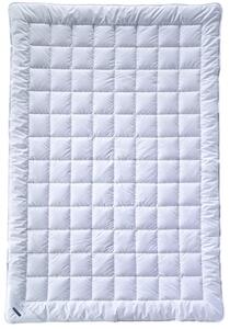 LETNÍ PŘIKRÝVKA, 155/220 cm, polyester, bambus Billerbeck - Přikrývky, Online Only