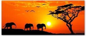 Obraz na plátně Afrika Západ slunce Sloni - 90x30 cm