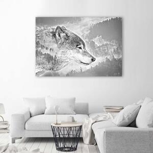 Obraz na plátně, Vlk Zvíře Mlha Les Příroda - 60x40 cm