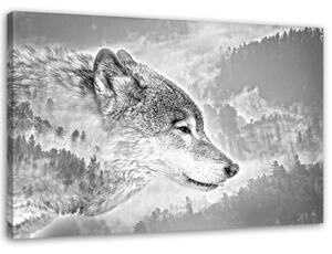 Obraz na plátně, Vlk Zvíře Mlha Les Příroda - 90x60 cm