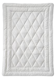 LETNÍ PŘIKRÝVKA, 135/200 cm, bavlněná výplň Billerbeck - Přikrývky, Online Only