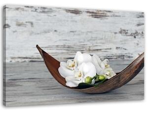 Obraz na plátně Květiny Orchidej Dřevo Zen Spa - 100x70 cm