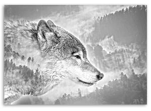 Obraz na plátně, Vlk Zvíře Mlha Les Příroda - 60x40 cm
