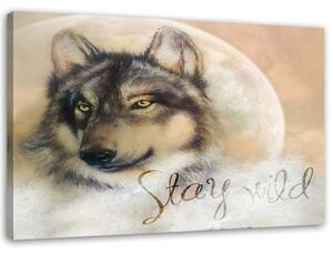 Obraz na plátně, Vlk Zvíře Příroda Béžová - 120x80 cm
