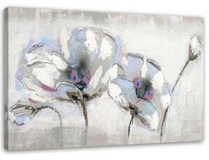 Obraz na plátně, Bílé květy jako malované - 60x40 cm
