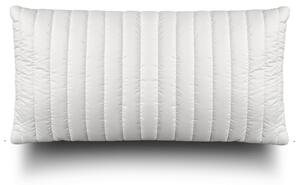 POLŠTÁŘ POD HLAVU, 40/80 cm John Cotton - Polštáře pod hlavu, Online Only
