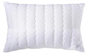 POLŠTÁŘ POD HLAVU, 40/80 cm Billerbeck - Polštáře pod hlavu, Online Only