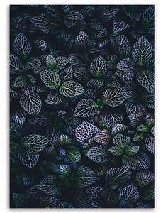 Obraz na plátně Fialové listy Příroda - 40x60 cm