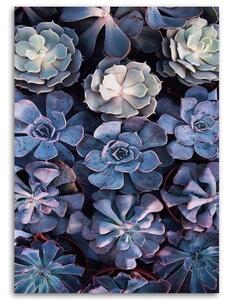 Obraz na plátně, Skandinávské šeříkové květiny - 80x120 cm