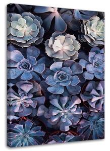 Obraz na plátně, Skandinávské šeříkové květiny - 70x100 cm