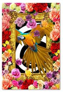 Obraz na plátně, Papoušek Barevné květiny Růže - 70x100 cm