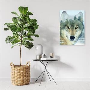 Obraz na plátně, Vlk Zvíře Les Příroda - 40x60 cm