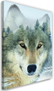 Obraz na plátně, Vlk Zvíře Les Příroda - 80x120 cm