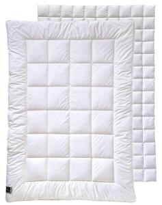 PŘIKRÝVKA PRO 4 ROČNÍ OBDOBÍ, 135/200 cm, duté vlákno Billerbeck - Přikrývky, Online Only