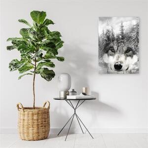 Obraz na plátně, Vlk Lesní zvířata Příroda - 40x60 cm