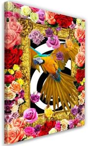 Obraz na plátně Papoušek Barevné květiny Růže - 40x60 cm