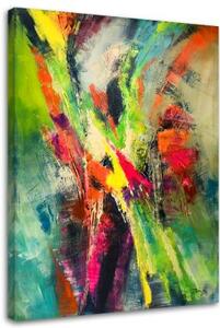 Obraz na plátně Abstraktní barevná malba - 70x100 cm