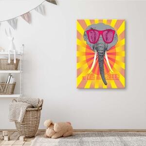 Obraz na plátně, Barevný slon s brýlemi - 40x60 cm