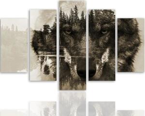 Obraz na plátně pětidílný Vlk SALONOU na pozadí přírodního lesa - 150x100 cm