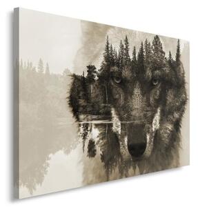 Obraz na plátně Vlk SALONOU na pozadí přírodního lesa - 120x80 cm